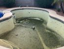 coolidge arizona pool cleaing acid wash pool pump pebble repair 0  